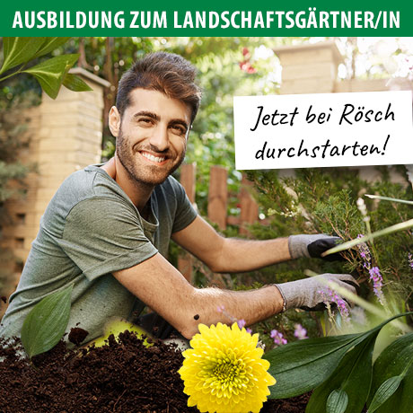 Abbildung junger Mann bei Gartenarbeiten Ausbildung zum Landschaftsgärtner bei RÖSCH
