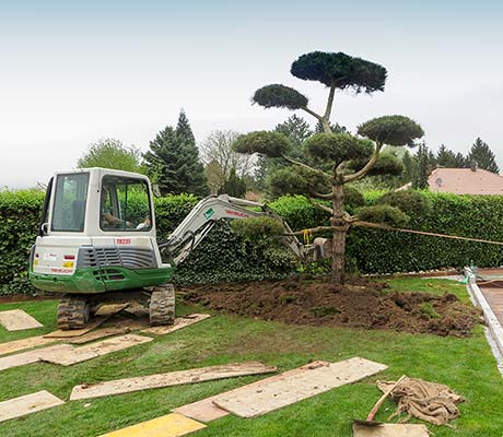 Abbildung Rösch Gartengestaltung Gartenarbeiten mit Bagger