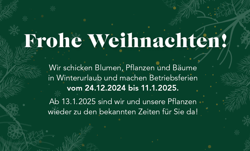 Vom 24.12.2024 bis 11.1.2025 sind wir in der Winterpause - ab 13.1.2025 wieder für Sie da!